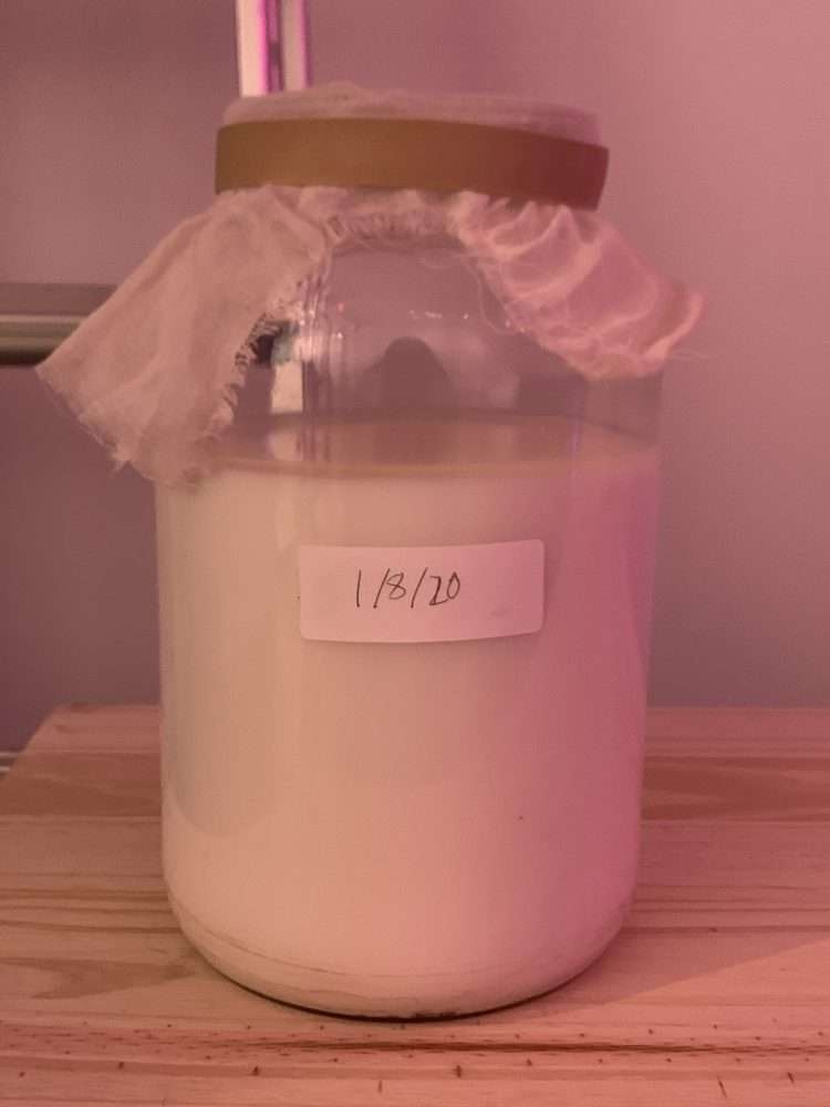 a photo of lactic acid