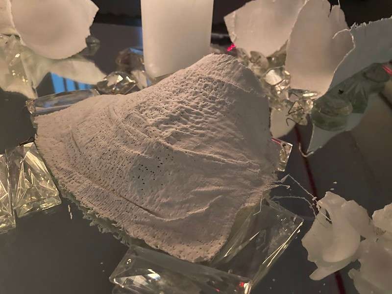 a photo of plaster mold