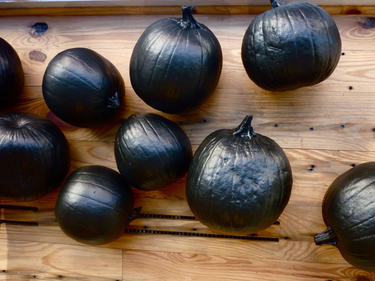 a photo of pumpkins