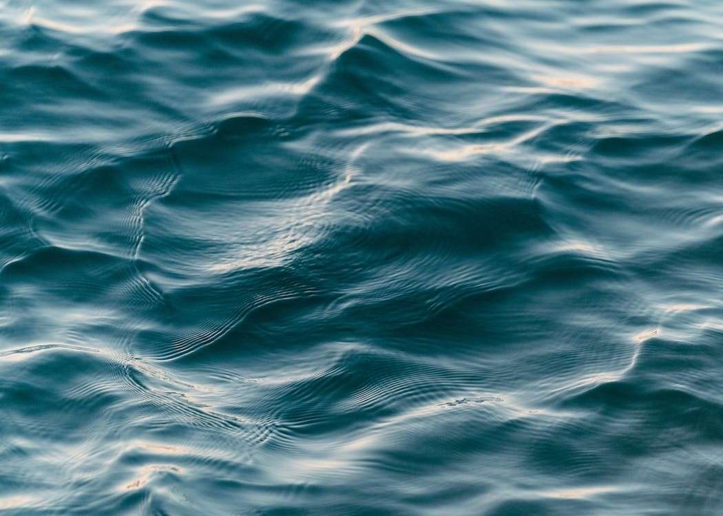 Close-up_Photo_of_Body_of_Water__Free_Stock_Photo.jpg